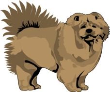 painted fluffy dog