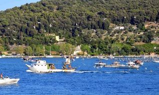 fishing boats in the sea