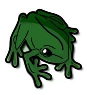 green frog on white background