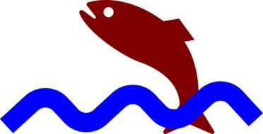 Picture of fish jumping out of water
