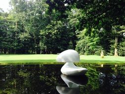 white Marta Pan Duck Floating in Pond