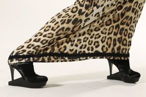 Dress of the model