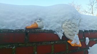 porcelain white duck on a brick fence in deep snow