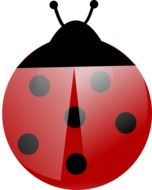 painted round ladybug