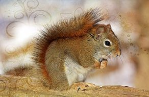 little squirrel with a fluffy tail