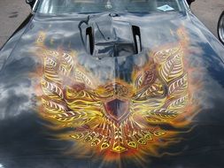 bird on fire on car hood