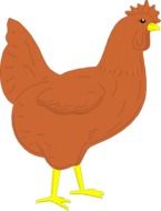 Brown Rooster with yellow feet drawing