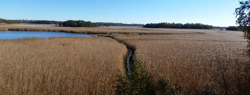 dry fields near the lake