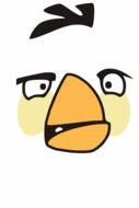 Aggressive white bird face