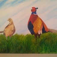 picture of a rooster and chicken on the grass