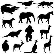 Animals and birds, Silhouettes, Drawing