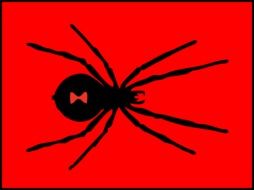 Black and red drawing of the spider clipart