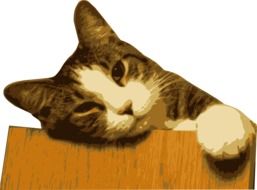charming Cat Feline Pet
