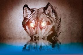 Wolf Reflective Eyes drawing