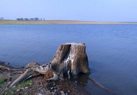 Stub in the lake in India