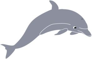 gray dolphin pattern on white background