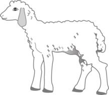 Black and white drawing of the standing sheep clipart