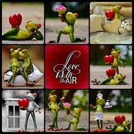 collage with funny frogs pictures