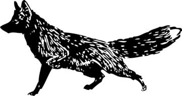 painted black fox