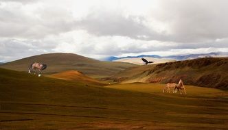 horses in the steppe