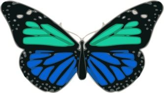 drawing of a butterfly with blue and turquoise wings