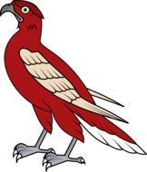 hunting bird, hawk, drawing
