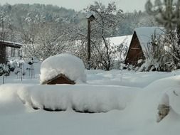 Snow Garden