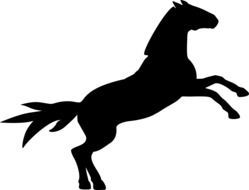 Horse black Silhouette drawing