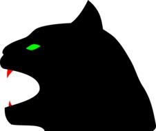 Picture of black panther