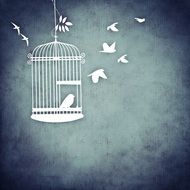 white drawing of a cage with birds