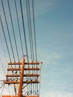 Birds on a line wires