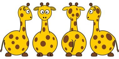 four cartoon giraffes