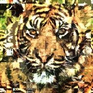 abstract portrait of a tiger