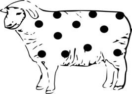 Spotted Sheep as an illustration