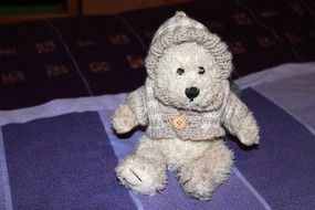cute teddy bear in cardigan