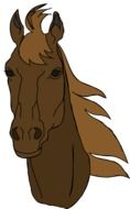 Horse Face as a drawing