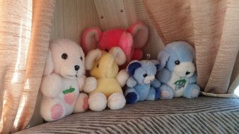 Stuffed colorful Toys