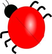 Ladybug, Beetle as a drawing
