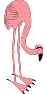 drawing of a pink flamingo on a white background