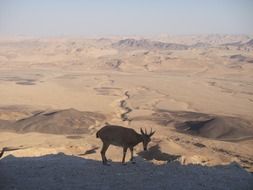 Desert Neguev, Israel