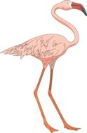 painted flamingo
