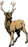 Deer Brown as a drawing
