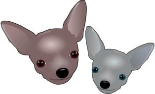 drawing of two gray chihuahuas