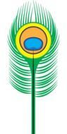green Feather drawing