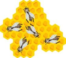 drawing of bees in the yellow comb