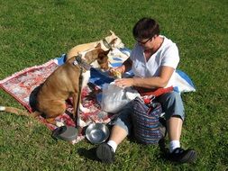 picnic in nature with dogs