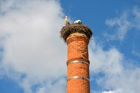 Stork Nest on the chimney