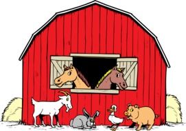 barn full of livestock