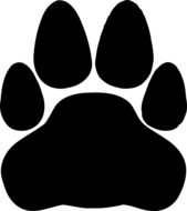wolf footprint on white background