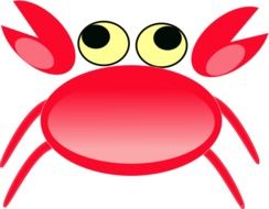 drawn cartoon red crab